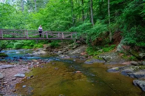 Best U.S. Campgrounds for Overlook Ridge Hiking Adventures