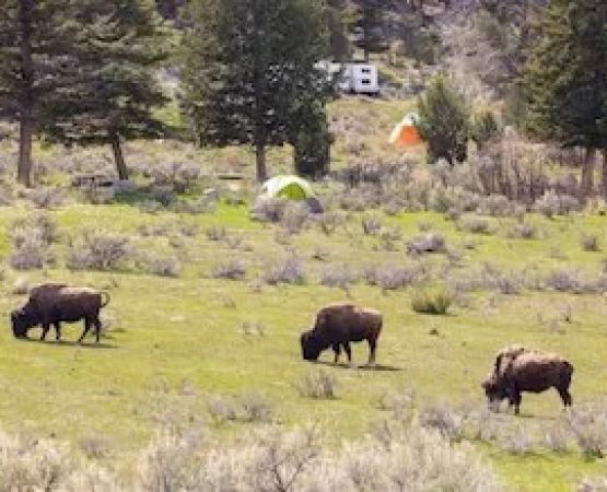 Best U.S. Campgrounds for Flat Plateau Views