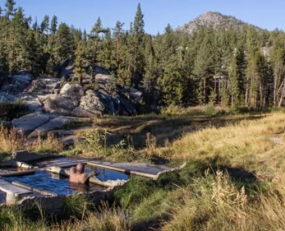 Best U.S. Campgrounds with Hot Springs Nearby – Relax and Reconnect with Nature at Pine Cliff Resort