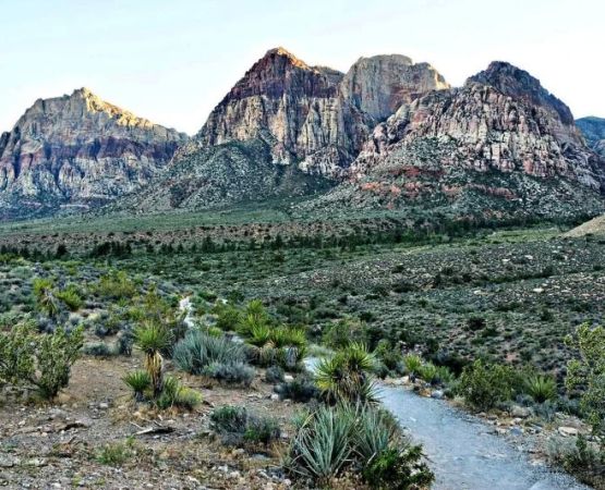 How to Camp in Red Rock Regions Safely and Enjoy the Desert Experience