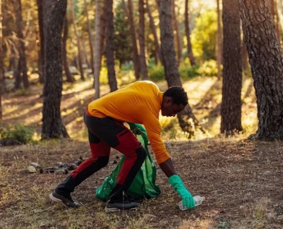 How to Keep Your Campsite Clean with Smart Trash, Waste, and Food Management