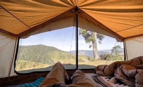 How to Choose the Right Shelter Setup for Rainforest or Humid Camping