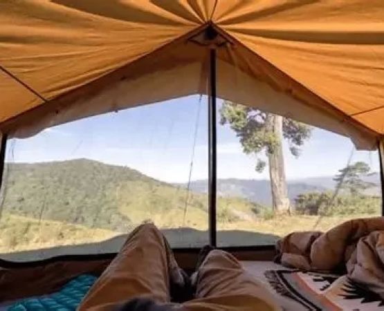 How to Choose the Right Shelter Setup for Rainforest or Humid Camping