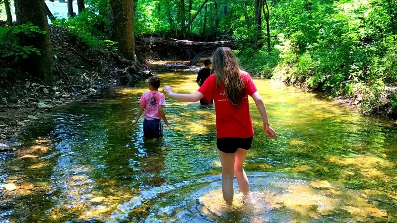 Best Campgrounds with Creek Swimming Spots for Summer Fun