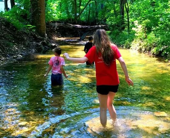 Best Campgrounds with Creek Swimming Spots for Summer Fun