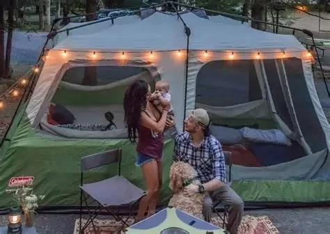 Best Parks and Campgrounds in West Virginia for Families and Solo Travelers