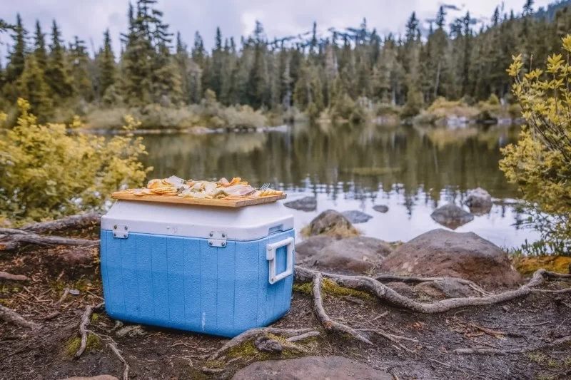 How to Choose the Right Camping Cooler: A Complete Guide for Outdoor Enthusiasts
