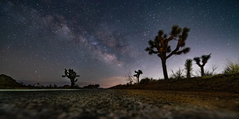 Joshua Tree National Park for Stargazing and Desert Adventures Best