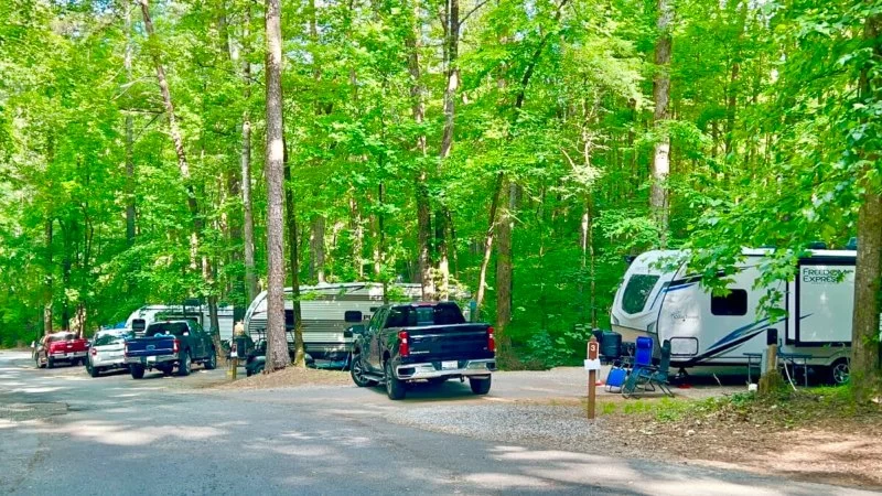 Locals Love for Quiet Nature Escapes: Best Campgrounds in Georgia for RVs