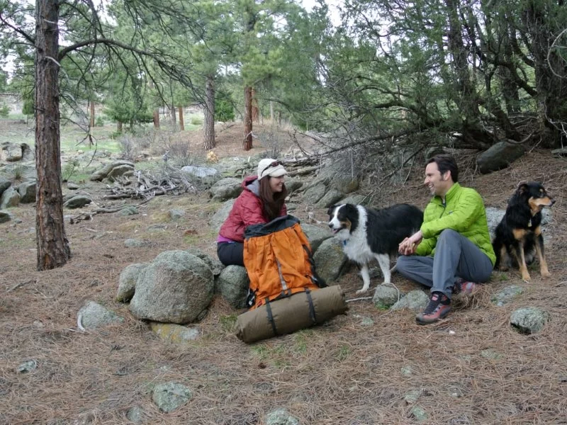 Camping Gear, Safety Tips, and Planning for Beginners