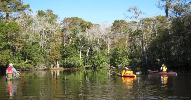 Discover Quiet, Hidden Gem Campgrounds in Louisiana Loved by Locals