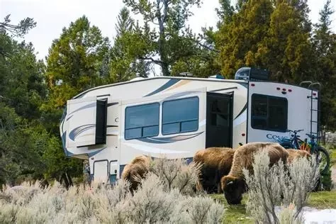Ultimate Guide to Yellowstone National Park for RV and Tent Camping