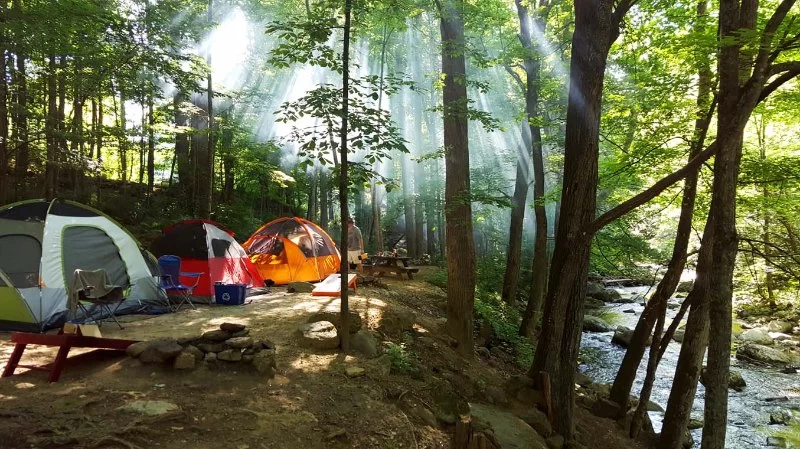 Best Campgrounds in Virginia for Families, Solo Travelers, and Weekend Getaways